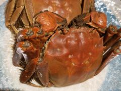 -虹料理·日料放题(悠方店)