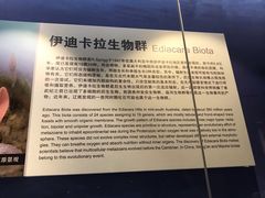 -辽宁古生物博物馆