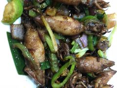 -电白鸭粥店(下沙二坊88号店)