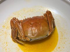 -唐猫庭院·千年陕菜(大唐不夜城店)