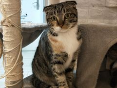 -平行世界·猫咖(首经贸店)
