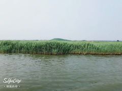 -东方华地城湿地温泉度假区