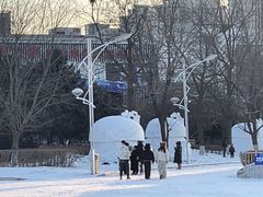 -沈阳奥体冰雪嘉年华