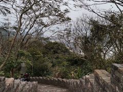 -小南山公园