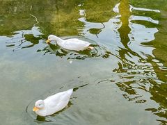 -灵玲国际马戏城