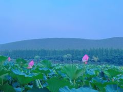 -云龙湖旅游景区