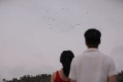 -绿皮火车照相馆 婚纱照旅拍(厦门店)