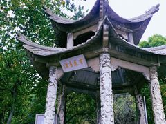 -杏花村文化旅游区