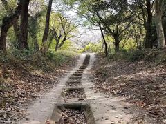 -争渡心理咨询全国连锁(福田店)