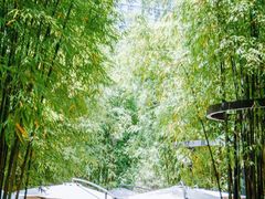 -扫雪煮茶(西村店)