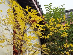 -南通博物苑-崇川人民公园