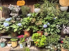 -龙姐私房菜(和顺古镇店)