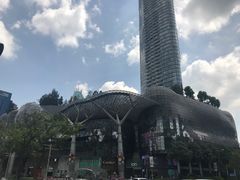 -爱雍·乌节