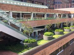 -香港大学