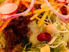 田园蔬菜沙拉-普兰达德国餐厅·德式脆皮烤猪肘·自酿啤酒(观唐店)