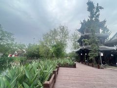 -黄龙溪古镇