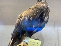-怀来官厅水库