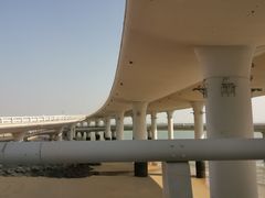 -演武大桥观景平台