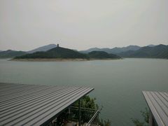 -望湖烤鱼