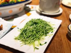 清炒豆苗-鑫阿强海鲜大排档·老厦门特色菜(中山路店)