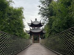 -铁山坪森林公园