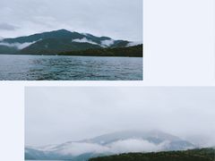 -金盆阿嬷香菇茶叶蛋(玄光店)