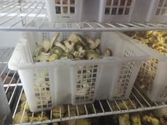 -双喜农庄·菌香园(安居家园店)