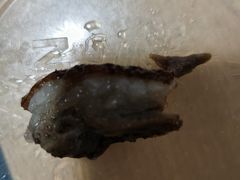 -鹅最好(南光店)