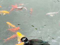 -广州神农草堂中医药博物馆