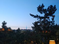 -王记西鎮电烤肉(汶上路店)