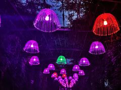 -武汉紫薇都市田园