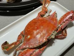-大锅强·蒸海鲜青岛菜(城市阳台店)