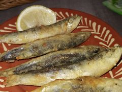 -ALBERGUE 1601 婆仔屋葡国餐厅