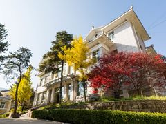 -洛阳白云山景区