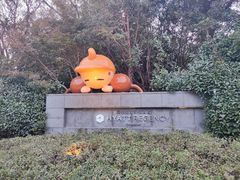 -上海崇明金茂凯悦酒店