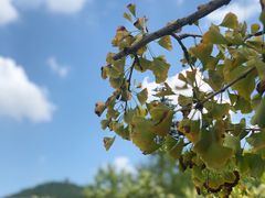 -湾里人家(旺山景区店)