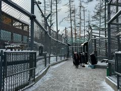 -横道河子东北虎林园