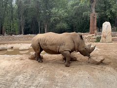 -北京野生动物园