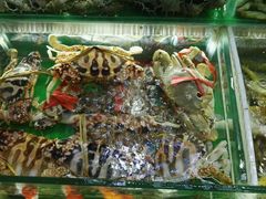 -覃记海鲜美食餐厅