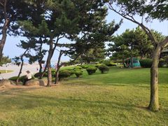 -日照灯塔风景区