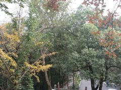 -常德桃花源景区
