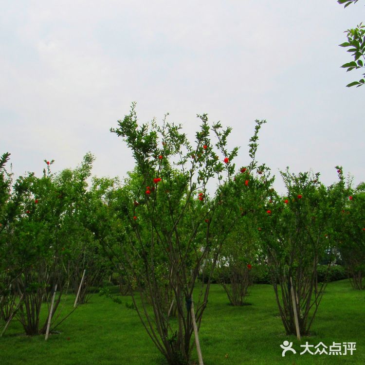 7月1日到西安幸福林带地上景观游览