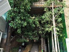 -吉林省自然博物馆