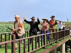 -洪湖生态旅游区