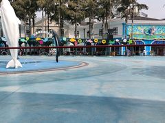 -海合安成都极地海洋公园