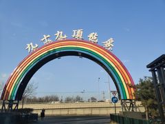 -九十九顶毡房(阜石路店)