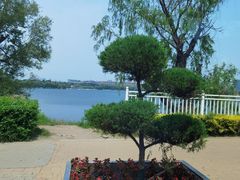 -长春市南湖公园