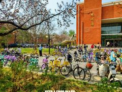 -清华大学-观畴园餐厅