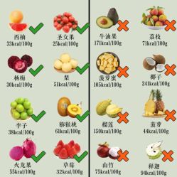 -Fundi张玉珊修身堂·indiba·BTL科技瘦身