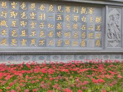 -西安大兴善寺